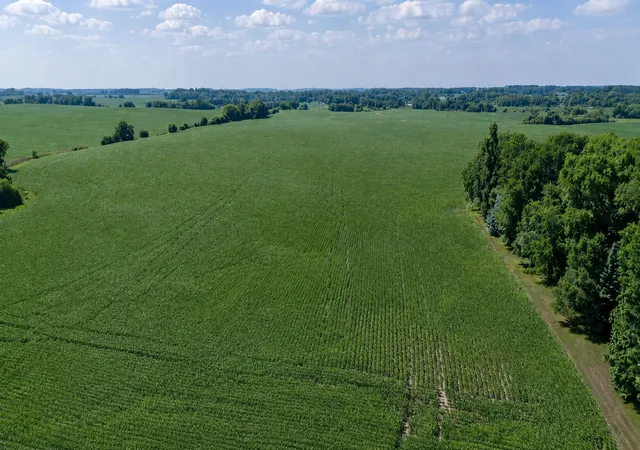 Photo 3 of Land for sale at Tbd 310Th Avenue, Underwood, MN 56586 | MLS# 7132508 | Listing updated on 2026-09-21