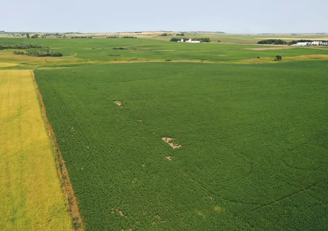 Photo 3 of Sale Pending at Tbd 366th Ave Nw, Kenmare, ND 58746 | MLS# 7132541 | Listing updated on 2026-09-03