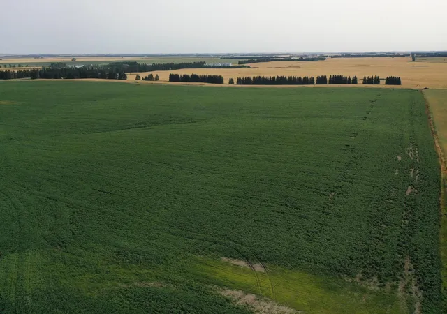 Photo 3 of Sale Pending at Tbd 366Th Ave Nw, Kenmare, ND 58746 | MLS# 7132541 | Listing updated on 2026-09-03