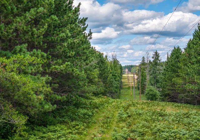 1st image of Tract C Hwy 21, Babbitt, MN 55706 | MLS# 7132578