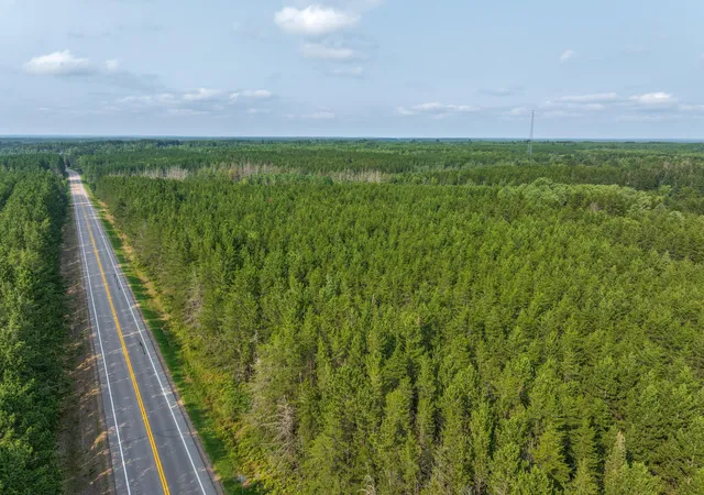 3rd image of Tract C Hwy 21, Babbitt, MN 55706 | MLS# 7132578