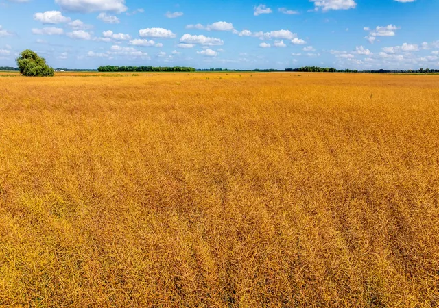 Photo 3 of Land for sale at Tbd 360 St Nw, Argyle, MN 56713 | MLS# 7132584 | Listing updated on 2026-08-25
