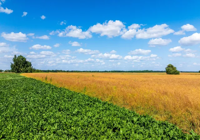 Photo 54 of Land for sale at Tbd 360 St Nw, Argyle, MN 56713 | MLS# 7132584 | Listing updated on 2026-08-25