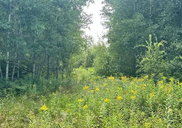 10th image of 38542 Cr 45, Laporte, MN 56461 | MLS# 7132598