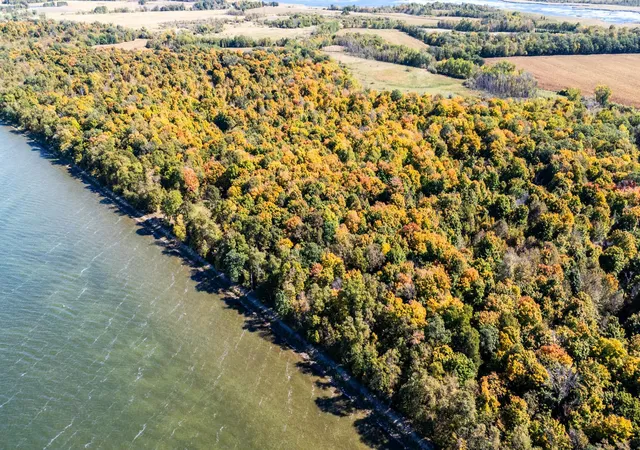 4th image of Tract C 330Th St, Richville, MN 56576 | MLS# 7132762
