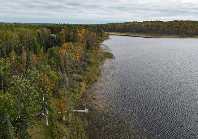 Photo 3 of Sale Pending at Tbd Xxx County Rd 65 Ne, Deer River, MN 56636 | MLS# 7132769 | Listing updated on 2026-09-08