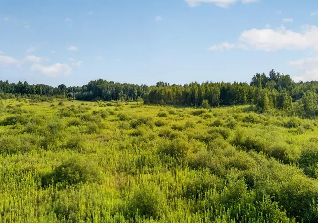 3rd image of Tbd Olson Rd, Hinckley, MN 55037 | MLS# 7132800
