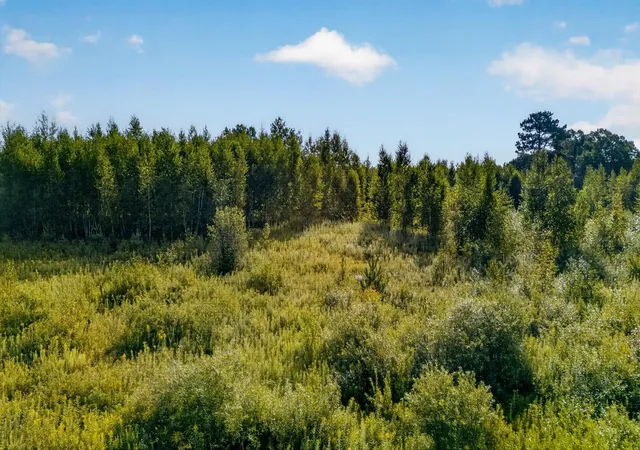 4th image of Tbd Olson Rd, Hinckley, MN 55037 | MLS# 7132800