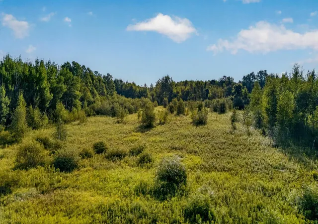 5th image of Tbd Olson Rd, Hinckley, MN 55037 | MLS# 7132800