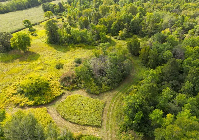1st image of 1xxx 150th Ave, Ogilvie, MN 56358 | MLS# 7132921