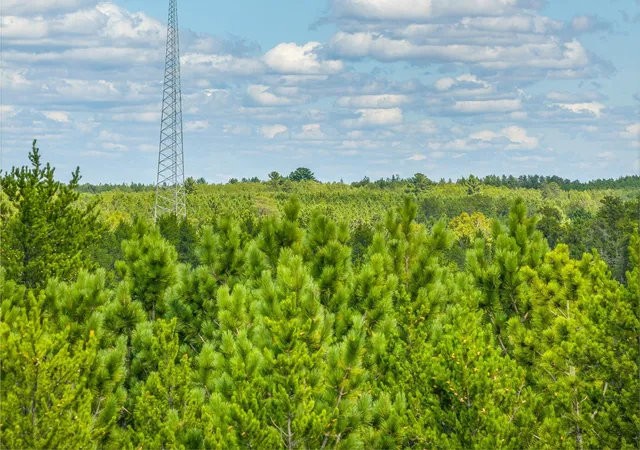 1st image of Tract D Hwy 21, Babbitt, MN 55706 | MLS# 7132954