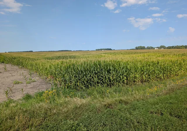 Photo 1 of Land for sale at 61203 150th St, Chokio, MN 56221 | MLS# 7133123 | Listing updated on 2026-08-25