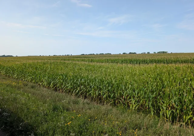 Photo 2 of Land for sale at 61203 150th St, Chokio, MN 56221 | MLS# 7133123 | Listing updated on 2026-08-25