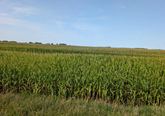 Photo 3 of Land for sale at 61203 150th St, Chokio, MN 56221 | MLS# 7133123 | Listing updated on 2026-08-25
