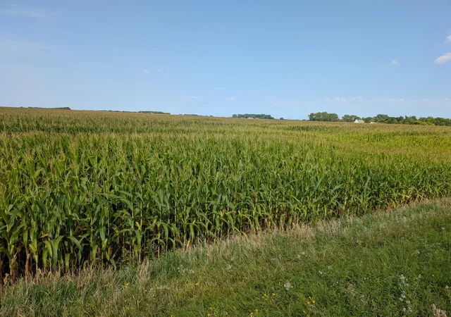 Photo 3 of Land for sale at 61203 150Th St, Chokio, MN 56221 | MLS# 7133123 | Listing updated on 2026-08-25