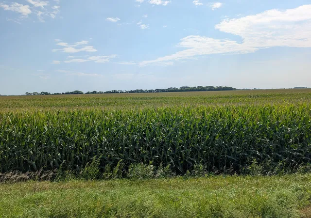 Photo 2 of Land for sale at 15670 610th Ave, Chokio, MN 56221 | MLS# 7133133 | Listing updated on 2026-08-25