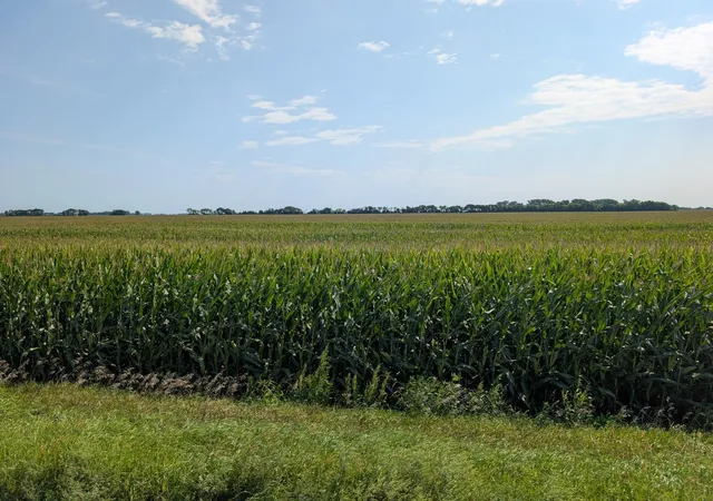 Photo 3 of Land for sale at 15670 610th Ave, Chokio, MN 56221 | MLS# 7133133 | Listing updated on 2026-08-25
