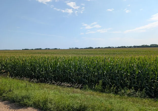 Photo 3 of Land for sale at 15670 610Th Ave, Chokio, MN 56221 | MLS# 7133133 | Listing updated on 2026-08-25