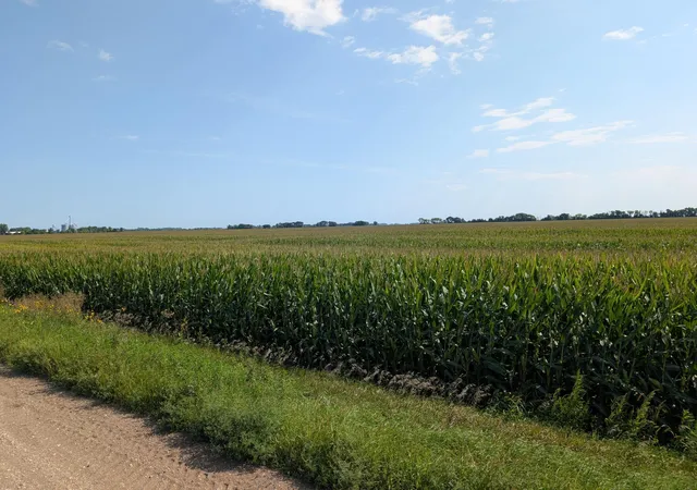 Photo 4 of Land for sale at 15670 610Th Ave, Chokio, MN 56221 | MLS# 7133133 | Listing updated on 2026-08-25