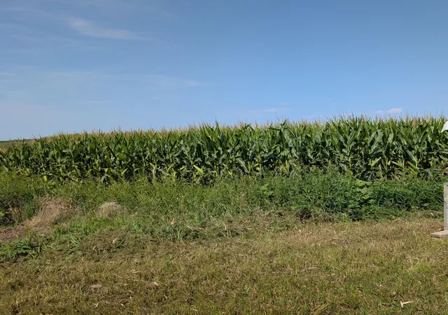 Photo 2 of Land for sale at 61010 180th St, Chokio, MN 56221 | MLS# 7133234 | Listing updated on 2026-08-25