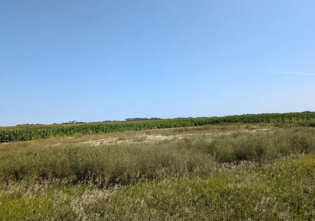 Photo 3 of Land for sale at 61010 180th St, Chokio, MN 56221 | MLS# 7133234 | Listing updated on 2026-08-25