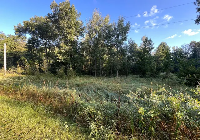 Photo 2 of Land for sale at Tbd Spruce Cir, Garrison, MN 56450 | MLS# 7133509 | Listing updated on 2026-08-28
