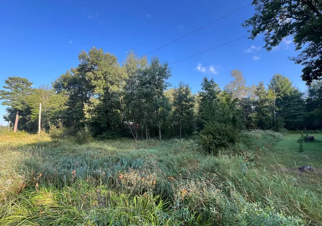 Photo 3 of Land for sale at Tbd Spruce Cir, Garrison, MN 56450 | MLS# 7133509 | Listing updated on 2026-08-28