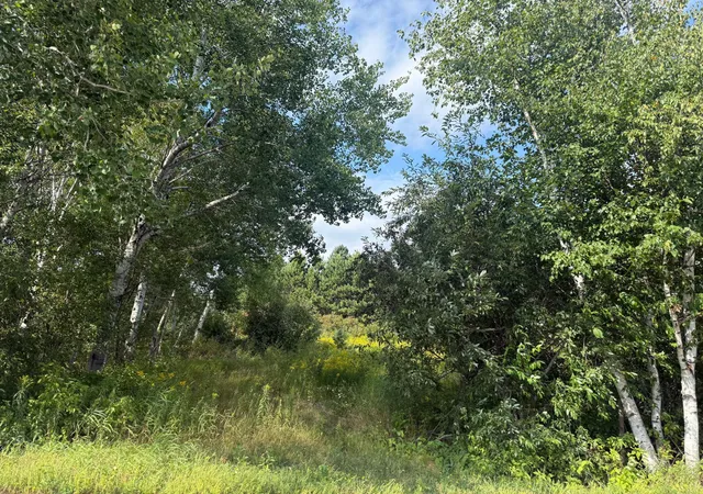 1st image of 5 Evelyn St, Esko, MN 55733 | MLS# 7133588