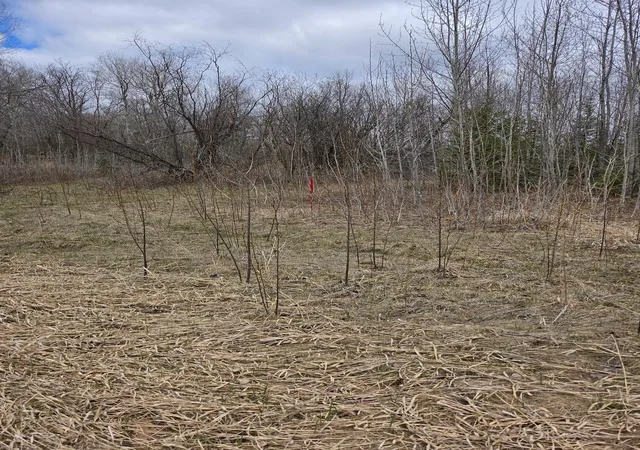 Photo 1 of Sale Pending at Tbd Rolland Rd, Cohasset, MN 55721 | MLS# 7133593 | Listing updated on 2026-08-26