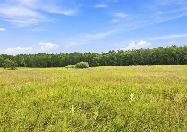 Photo 4 of Land for sale at Tbd Teds Dr, Finlayson, MN 55735 | MLS# 7133634 | Listing updated on 2026-09-04