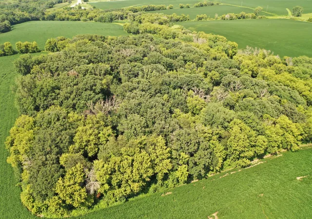74th image of 4900 42 Hwy Ne, Eyota, MN 55934 | MLS# 7133720