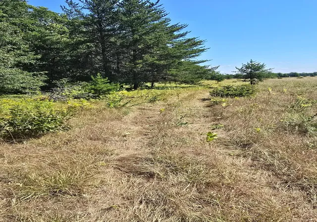 Photo 3 of Land for sale at Tbd Ravenswood Rd, Brainerd, MN 56401 | MLS# 7133789 | Listing updated on 2026-09-02