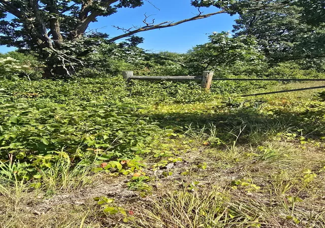 Photo 3 of Land for sale at Tbd Ravenswood Rd, Brainerd, MN 56401 | MLS# 7133789 | Listing updated on 2026-09-02