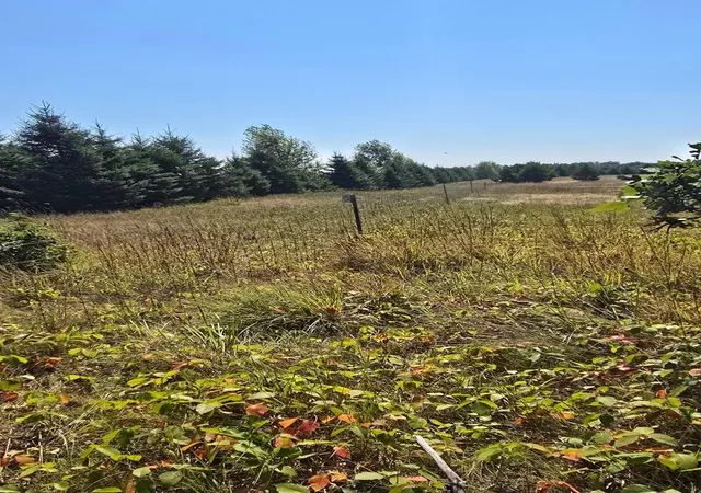 Photo 4 of Land for sale at Tbd Ravenswood Rd, Brainerd, MN 56401 | MLS# 7133789 | Listing updated on 2026-09-02