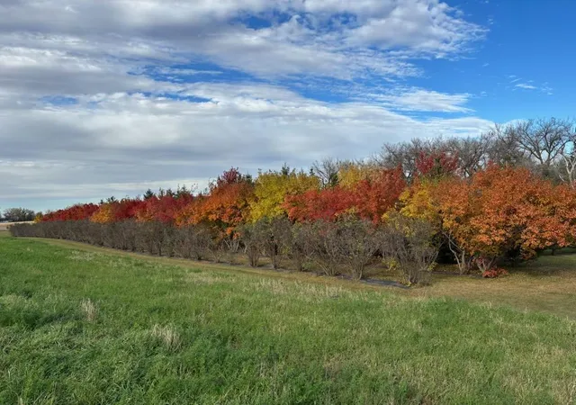 Photo 11 of Land for sale at 48479 Baileys Bay Rd, Big Stone City, SD 57216 | MLS# 7133806 | Listing updated on 2026-08-27