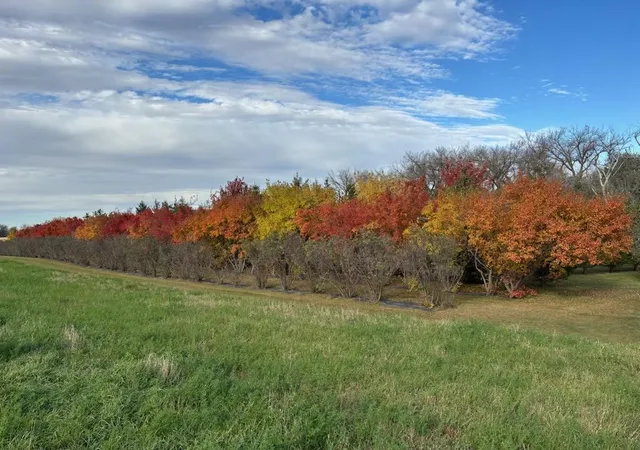 Photo 3 of Land for sale at 48479 Baileys Bay Rd, Big Stone City, SD 57216 | MLS# 7133806 | Listing updated on 2026-08-27
