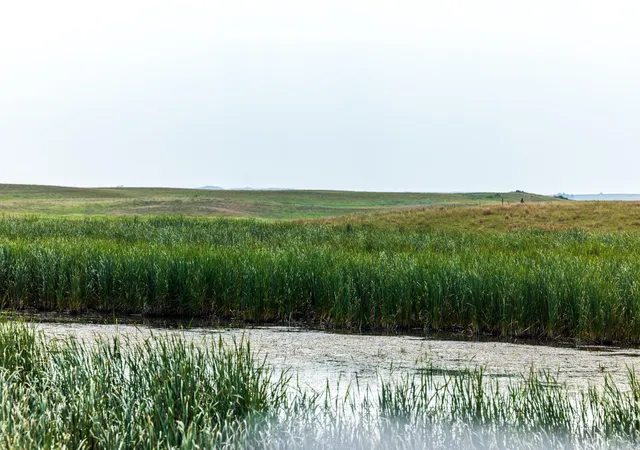 Photo 4 of Land for sale at Tbd 20 Ave SE Lot 1, Goodrich, ND 58444 | MLS# 7133971 | Listing updated on 2026-08-31