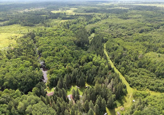 Photo 2 of Land for sale at 4047 Town Rd 100, Loman, MN 56654 | MLS# 7133982 | Listing updated on 2026-09-02