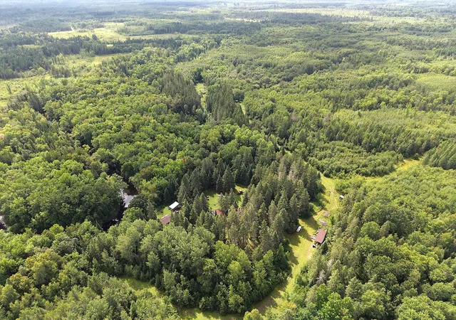Photo 3 of Land for sale at 4047 Town Rd 100, Loman, MN 56654 | MLS# 7133982 | Listing updated on 2026-09-02