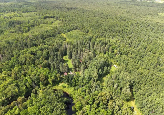 Photo 3 of Land for sale at 4047 Town Rd 100, Loman, MN 56654 | MLS# 7133982 | Listing updated on 2026-09-02