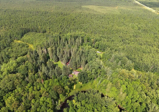 Photo 4 of Land for sale at 4047 Town Rd 100, Loman, MN 56654 | MLS# 7133982 | Listing updated on 2026-09-02