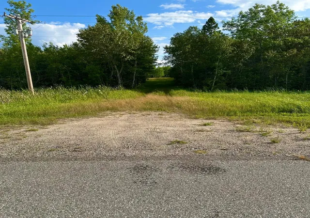 Photo 2 of Land for sale at Tbd Esh Acreage Hwy 53, Ray, MN 56669 | MLS# 7134084 | Listing updated on 2026-08-27