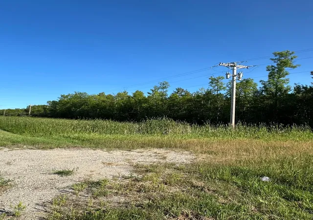 Photo 3 of Land for sale at Tbd Esh Acreage Hwy 53, Ray, MN 56669 | MLS# 7134084 | Listing updated on 2026-08-27