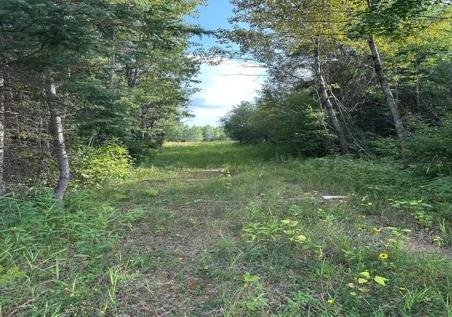 Photo 4 of Land for sale at Tbd Esh Acreage Hwy 53, Ray, MN 56669 | MLS# 7134084 | Listing updated on 2026-08-27