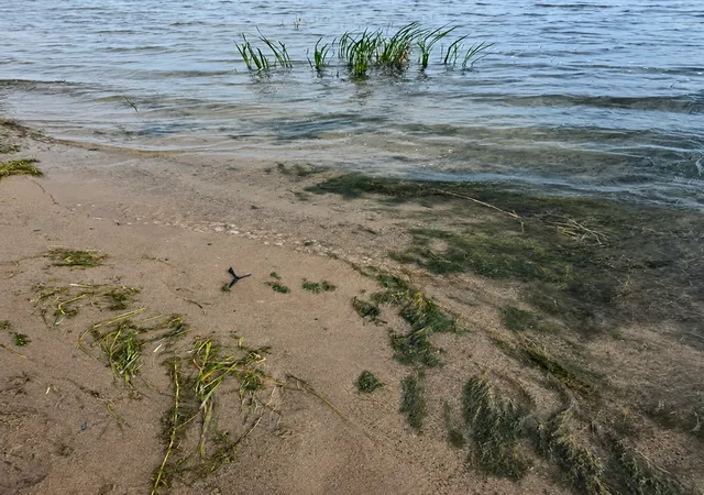 Photo 2 of Land for sale at Tbd Pine Beach Peninsula Rd Rd, East Gull Lake, MN 56401 | MLS# 7134108 | Listing updated on 2026-09-23