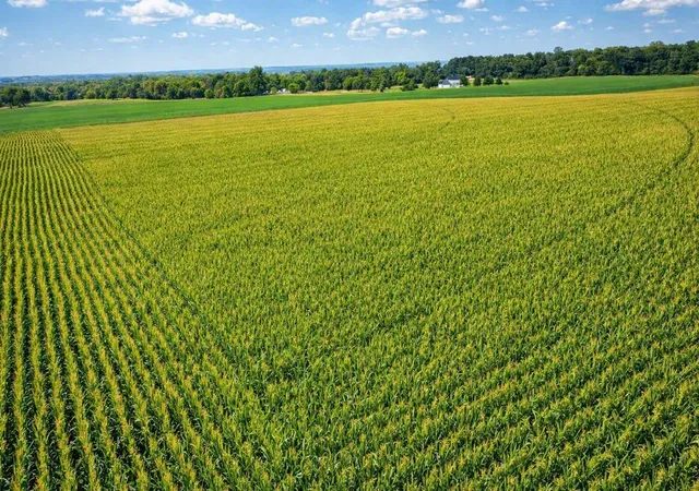 Photo 3 of Land for sale at Tbd Nicolai Ave, Hastings, MN 55033 | MLS# 7134190 | Listing updated on 2026-08-27