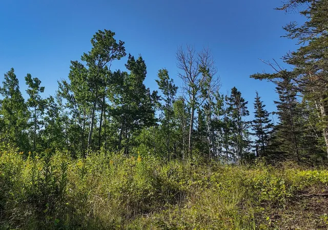 Photo 2 of Land for sale at Xxx Casper's Hill Rd, Grand Marais, MN 55604 | MLS# 7134333 | Listing updated on 2026-08-27
