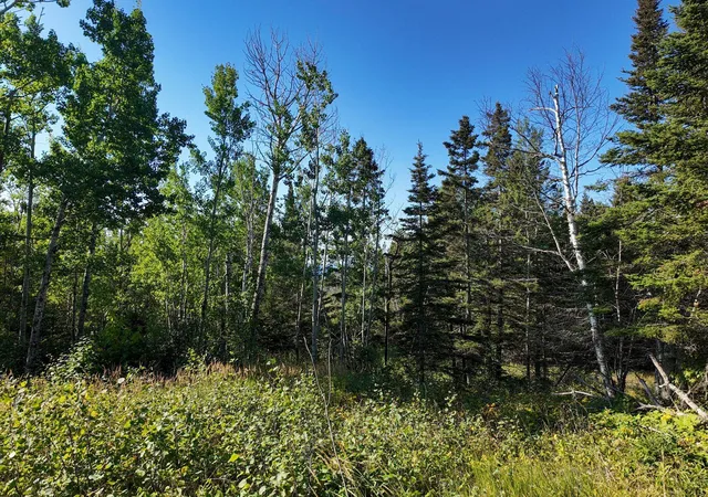 Photo 3 of Land for sale at Xxx Casper's Hill Rd, Grand Marais, MN 55604 | MLS# 7134333 | Listing updated on 2026-08-27