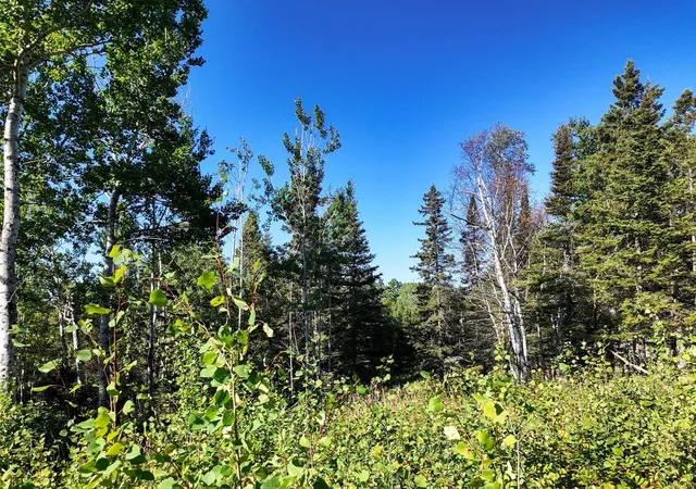 Photo 3 of Land for sale at Xxx Casper'S Hill Rd, Grand Marais, MN 55604 | MLS# 7134333 | Listing updated on 2026-08-27