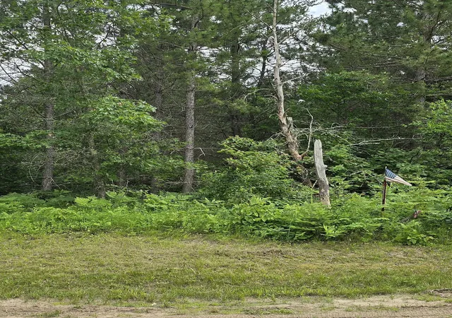 Photo 4 of Land for sale at 30945 Vahalla Ln, Cass Lake, MN 56633 | MLS# 7134357 | Listing updated on 2026-08-27